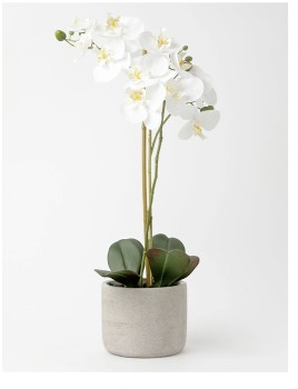 Heritage-Real-Touch-Orchids on sale